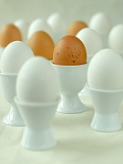 Яйца: много новых советов
